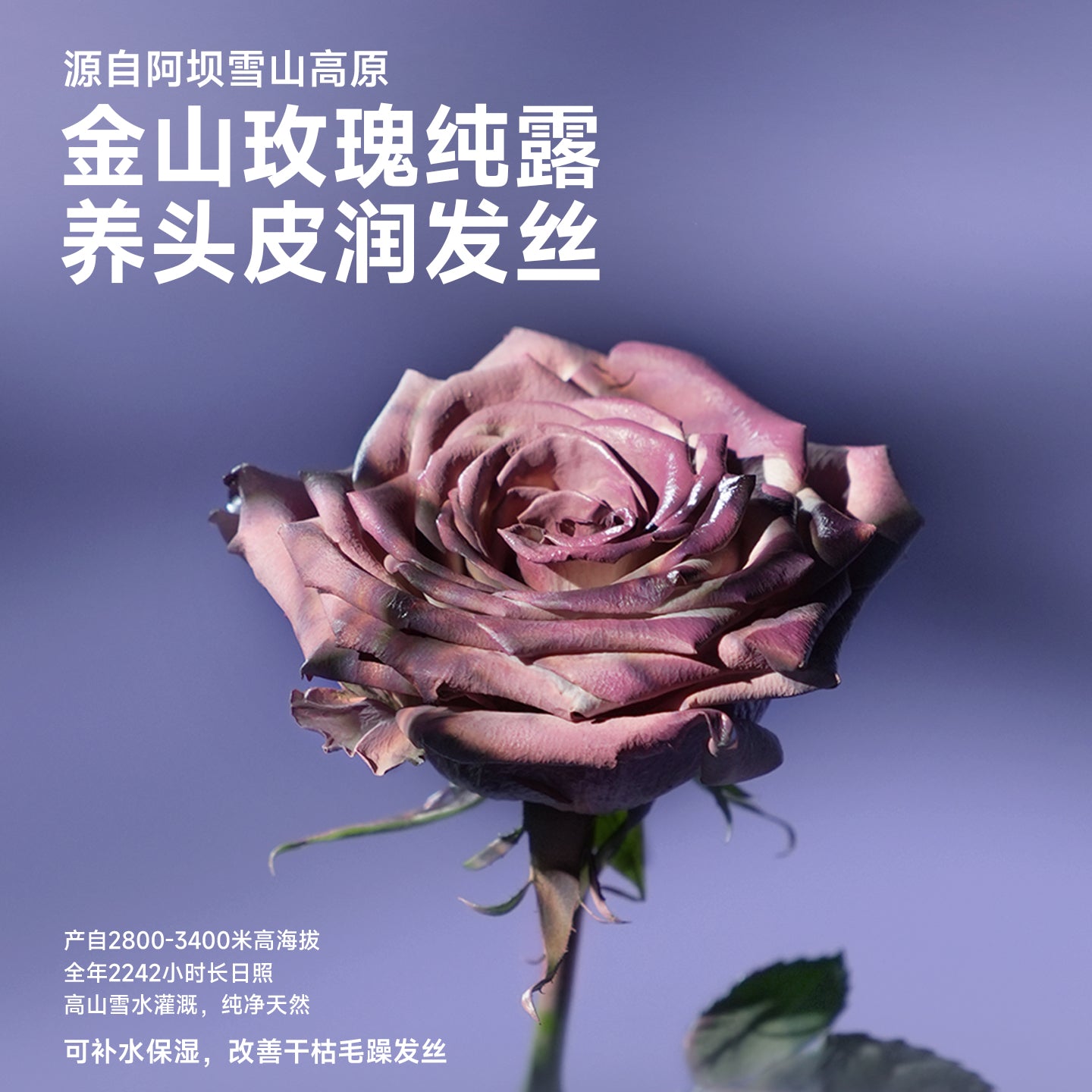 Befe Nourishing Rose Hair Mask