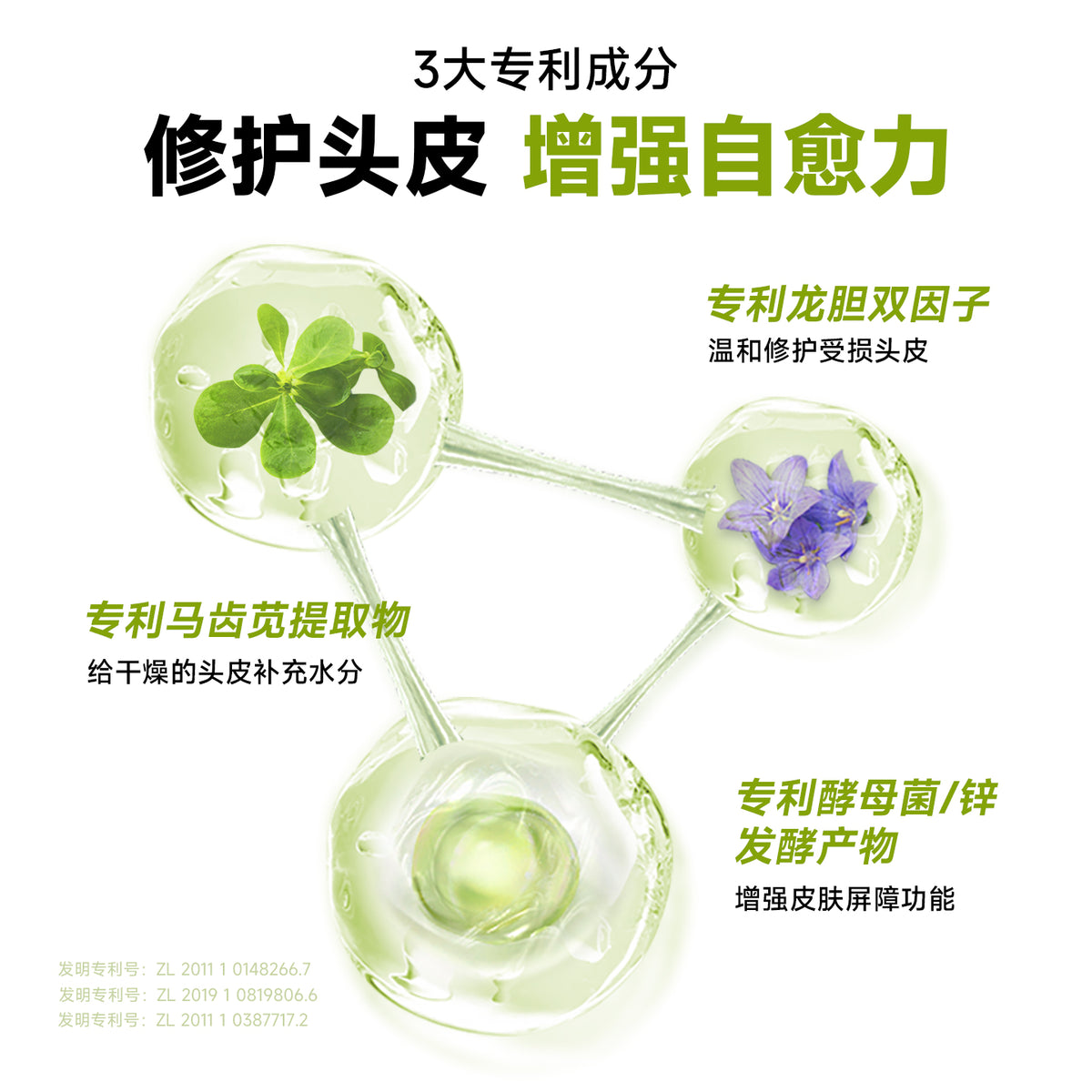 Befe Scalp Repair Serum