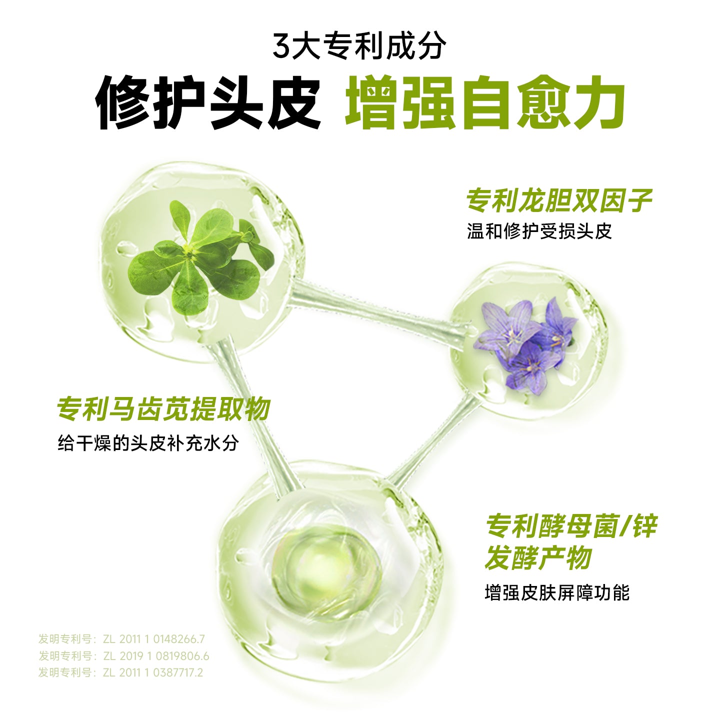 Befe Scalp Repair Serum